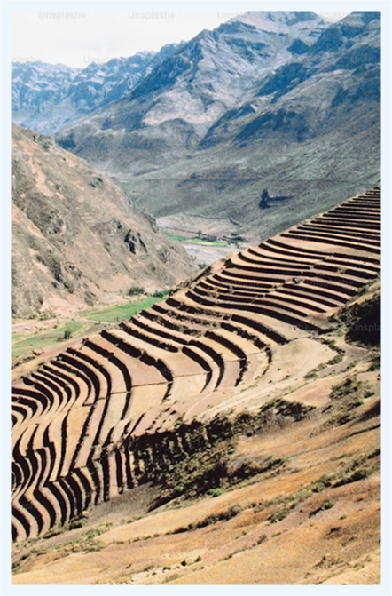  The economy has collapsed. 